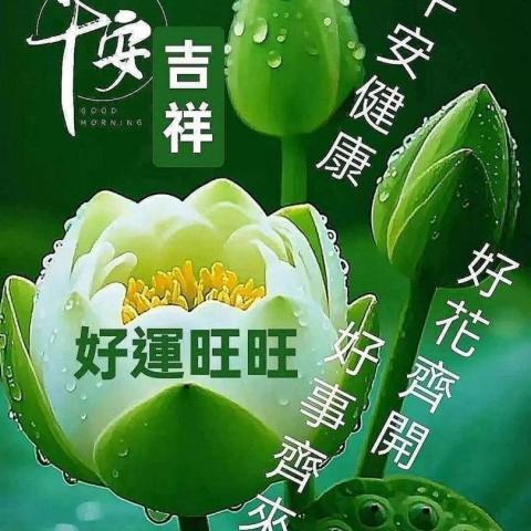 The pros providing sean lam lihkgHoi Lam cheung