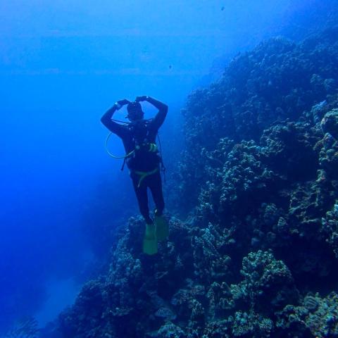 The pros providing stretching instructor courseMo sir