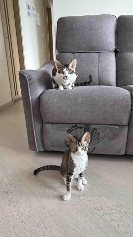 cty - 上門保母服務