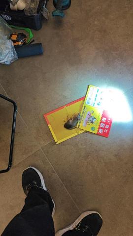 鼠害防治者コ彡 - 。