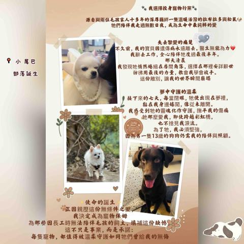 ICY小尾巴部落 - 關於小尾巴部落的誕生