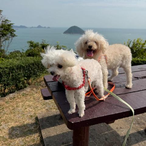 The pros providing econ 2022 paper 2Bobo