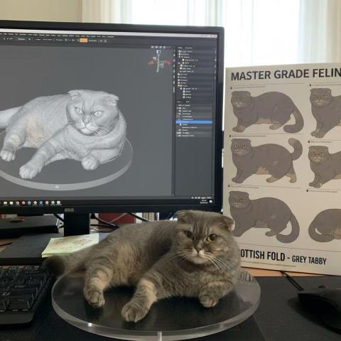 提供兼職保母服務的專家Alice Alice