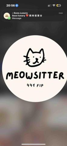 Meowsitter441 - 提供寵物寄養的專家