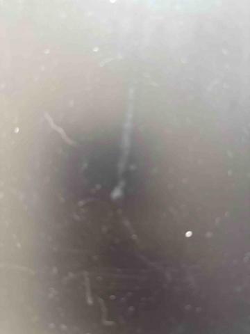 The pros providing brandy melville hk storeWhynot fitness