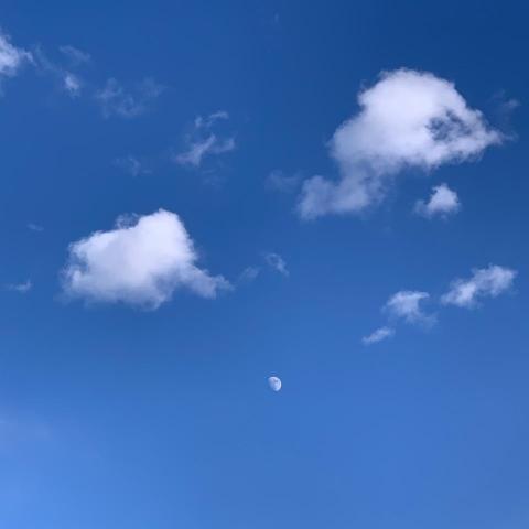 The pros providing app developmentAlice