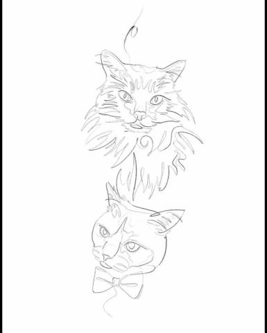 The pros providing dm 360UL