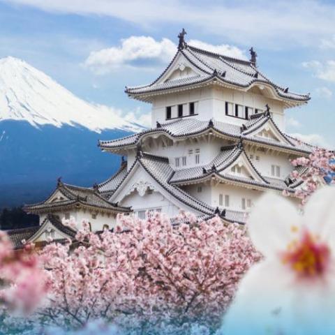 提供課程 日文服務的專家Alex Wong