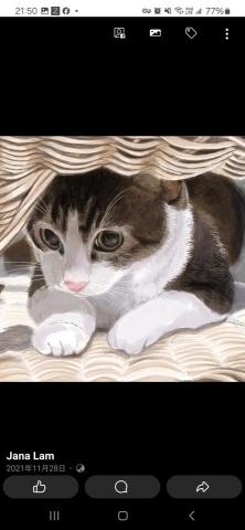 提供電腦 課程服務的專家Jana Lam