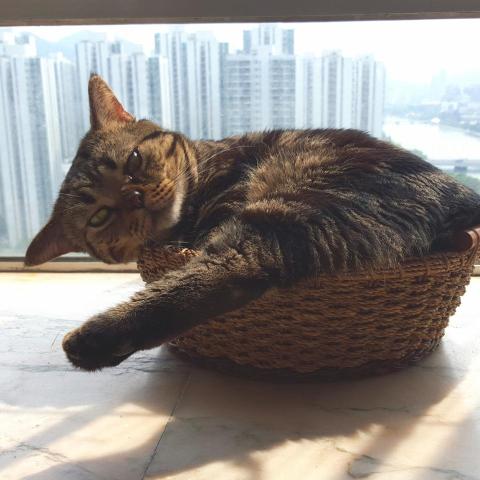 提供散步图片服務的專家Louis