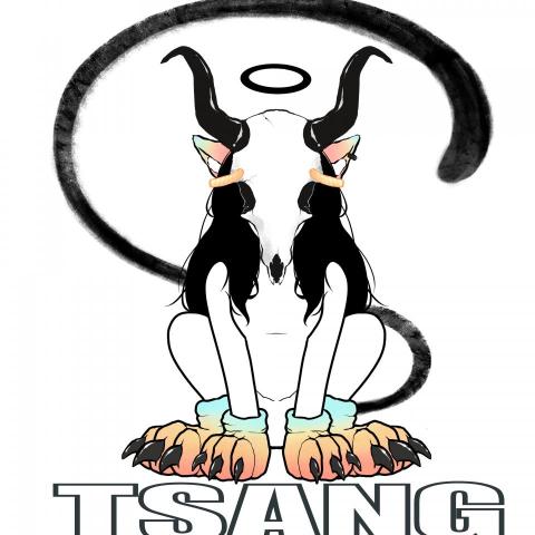 The pros providing seo pricePIKAPI