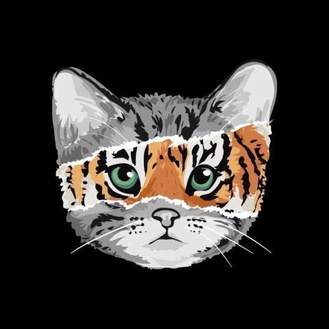 提供學斯教育lihkg服務的專家jrwong