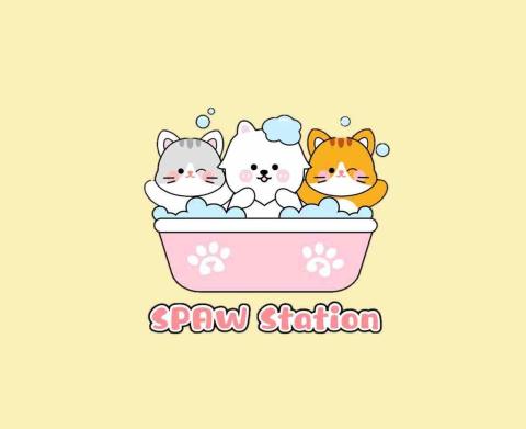 提供美容師服務的專家Spaw Station