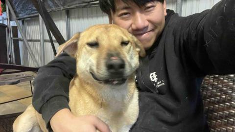 提供散步服務的專家Cheng Wai Lok