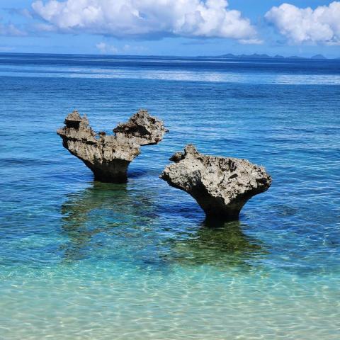 提供人像攝影相機推薦服務的專家LT Photograghy