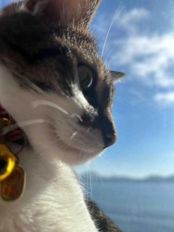 提供營養服務的專家bryson