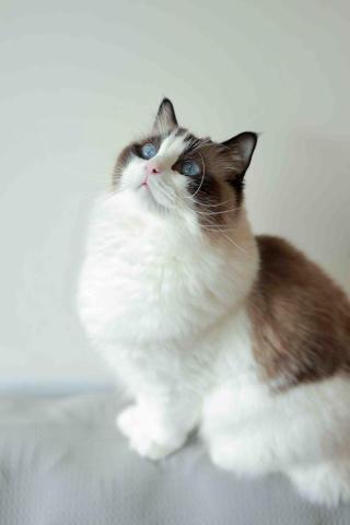 提供想晓得精准定位找人。靠谱的小孩哥社工库云查查免费社工库✔️chalacha.qpon服務的專家WONG HOI KIU