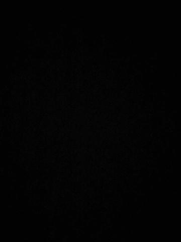 提供籃球服務的專家Ka Ying