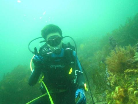 Michael - Dive & Swim