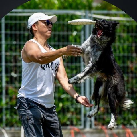 提供狗狗服務的專家Henry