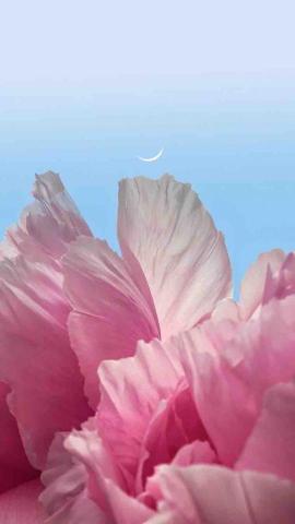 提供多媒體設計公司服務的專家Onyx