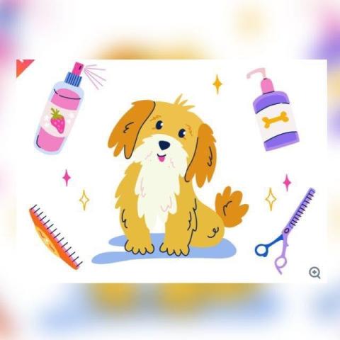 提供剪 片服務的專家Petty