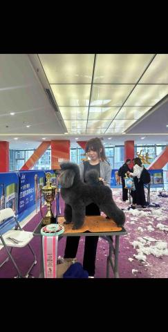 提供美容師招聘不用跑數服務的專家Laala