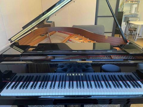 Miss Yuen - 屯門個人三角琴工作室