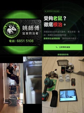 鼠害防治者コ彡 - 提供滅蟲的專家