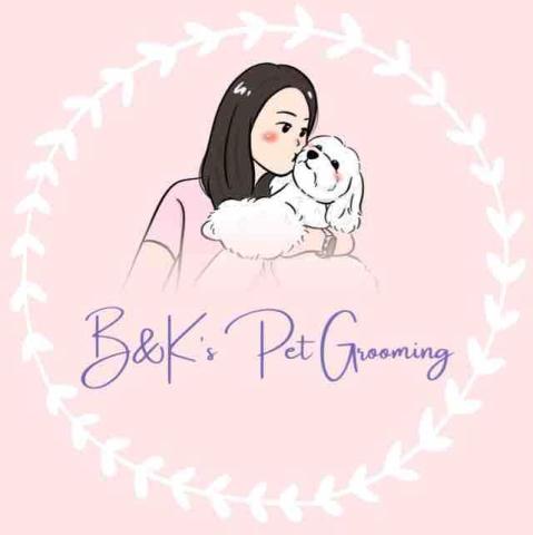 Blue - specialize in Pet Sitter