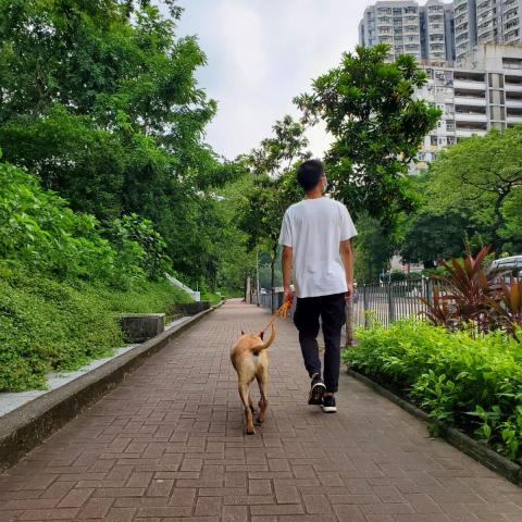 提供犬學堂服務的專家Vincent Chau