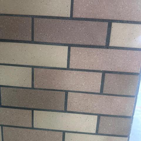 提供乒乓球總會訓練班服務的專家SK