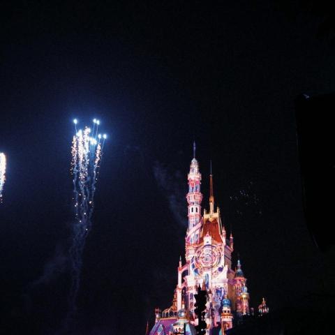 提供家務助理服務的專家Faa LoLo