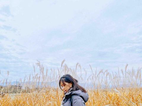 提供政府兼職招聘2023服務的專家Gigi Hong