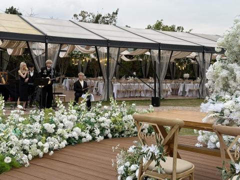 Aibee (Aibelief Performance) - 上水 Backyard Wedding 婚禮樂隊表演