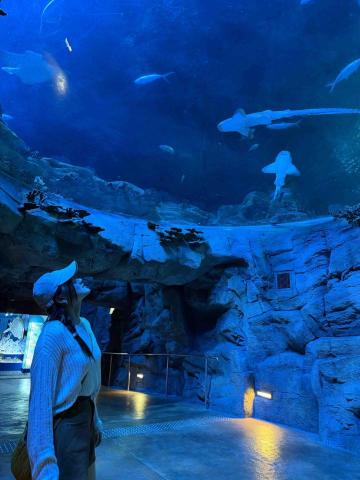 Deb - 提供畫畫教學的專家