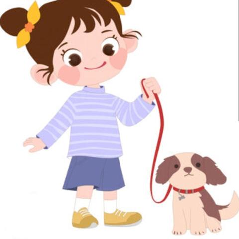 提供散步服務的專家BoBo