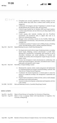 Digital Marketing Freelancer - 