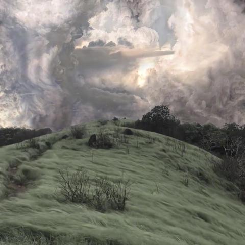 提供屯門兼職工作服務的專家Wai Wing Yi