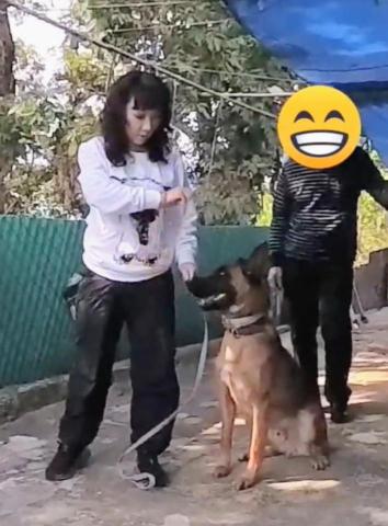 黑面羊動物傳心貓犬訓練 - 瑪連萊訓練