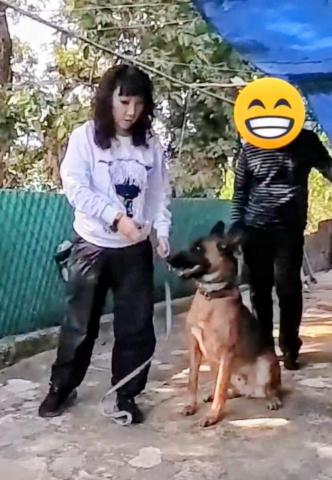 黑面羊動物傳心貓犬訓練 - 瑪連萊訓練