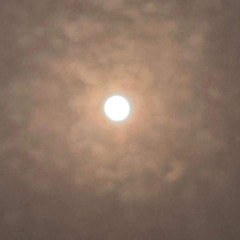 提供柔道训练服務的專家callan