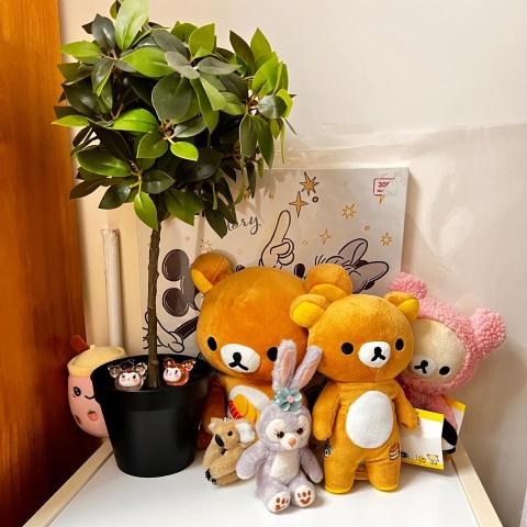 提供大掃除服務的專家MrsLi