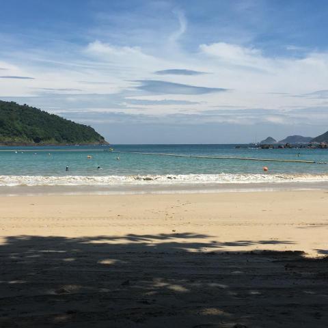 提供ron lau呃人服務的專家lau alvin