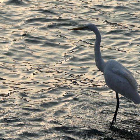 提供片頭特效服務的專家Kenny