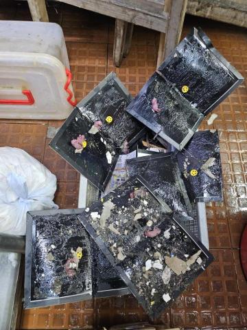 鼠害防治者コ彡 - ?