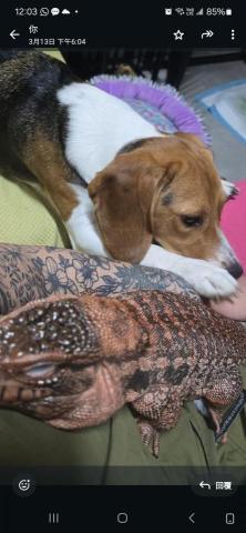 提供地磚種類服務的專家nata