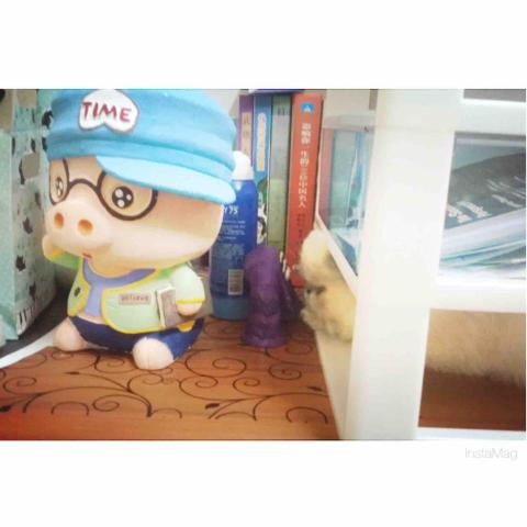 Karen Ho - specialize in Scalp Treatment