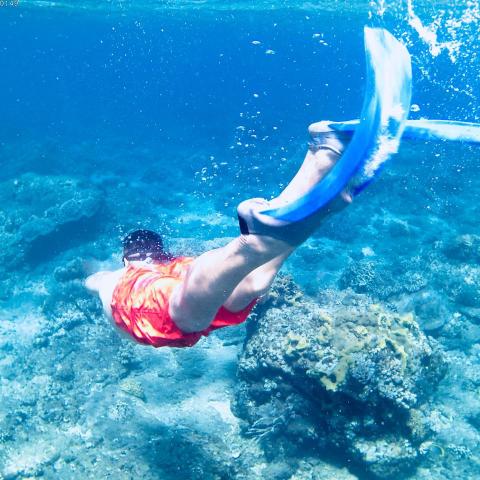 提供柔道班服務的專家Caro