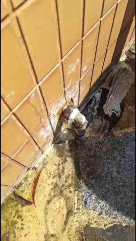 24 electricengineer&accleaners - 